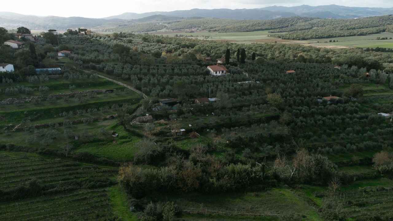 Photo of Others in Pergine Valdarno