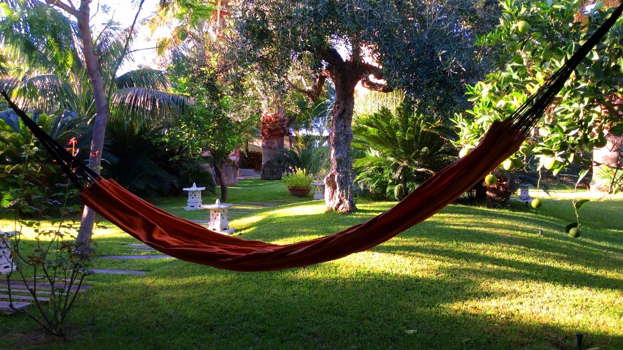 Photo of Outdoor in Solfarelli