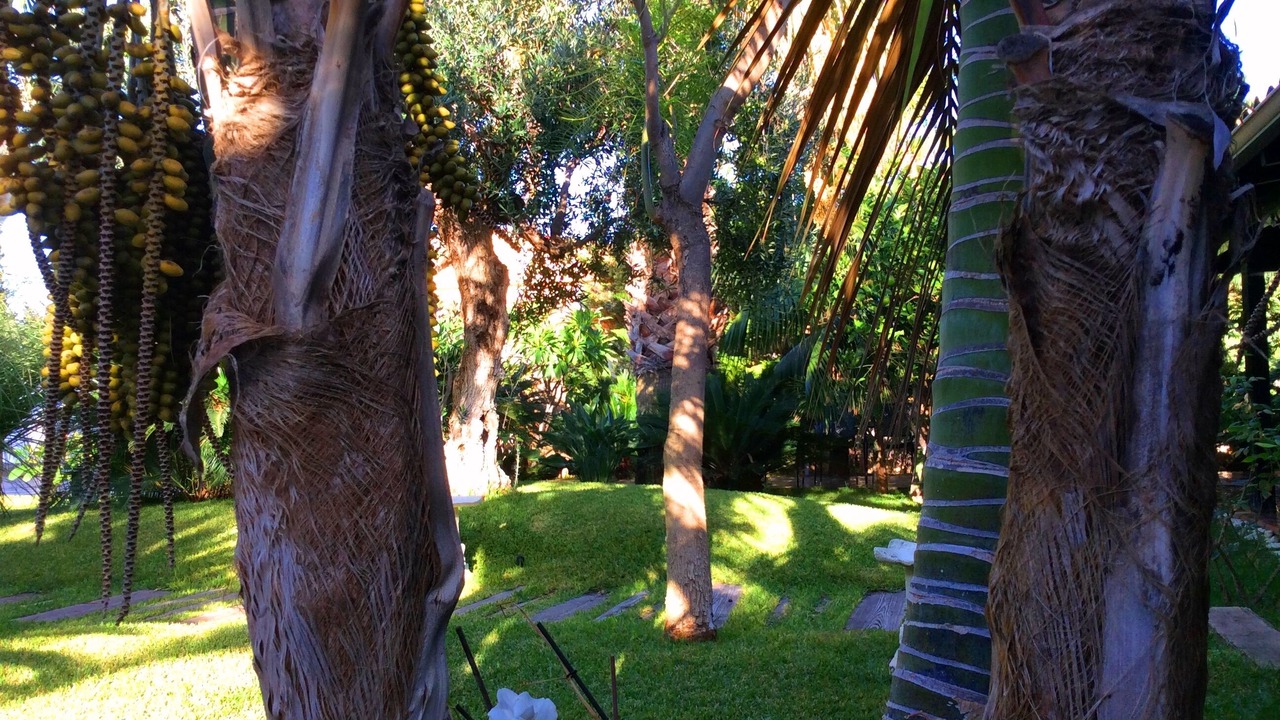 Photo of Others in Solfarelli