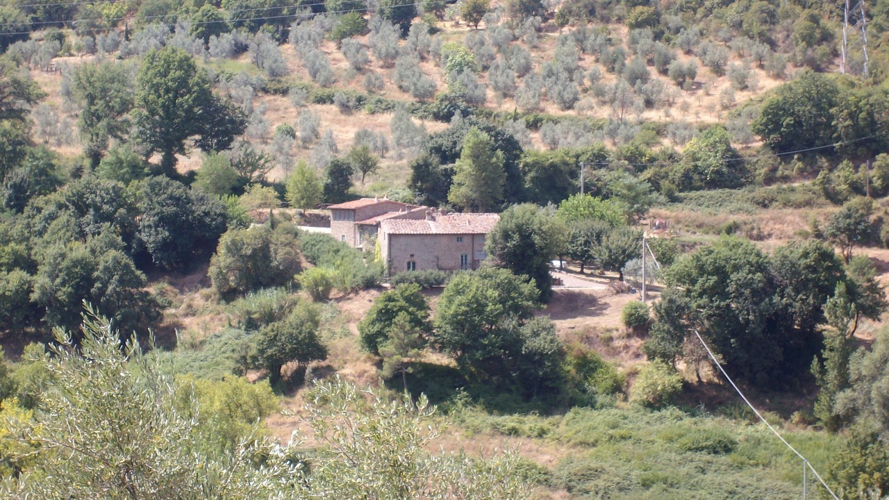 Photo of Outdoor in Poggio Alla Croce