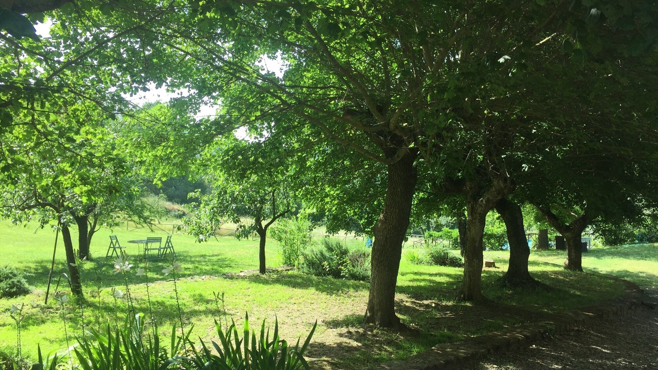 Photo of Outdoor in Poggio Alla Croce