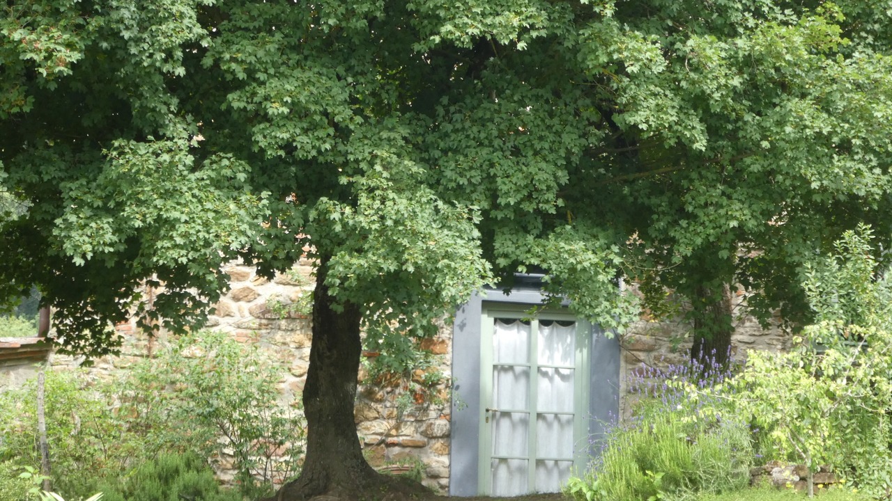 Photo of Outdoor in Poggio Alla Croce