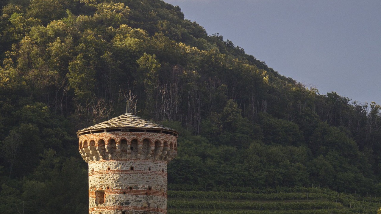 Photo of Outdoor in Parella