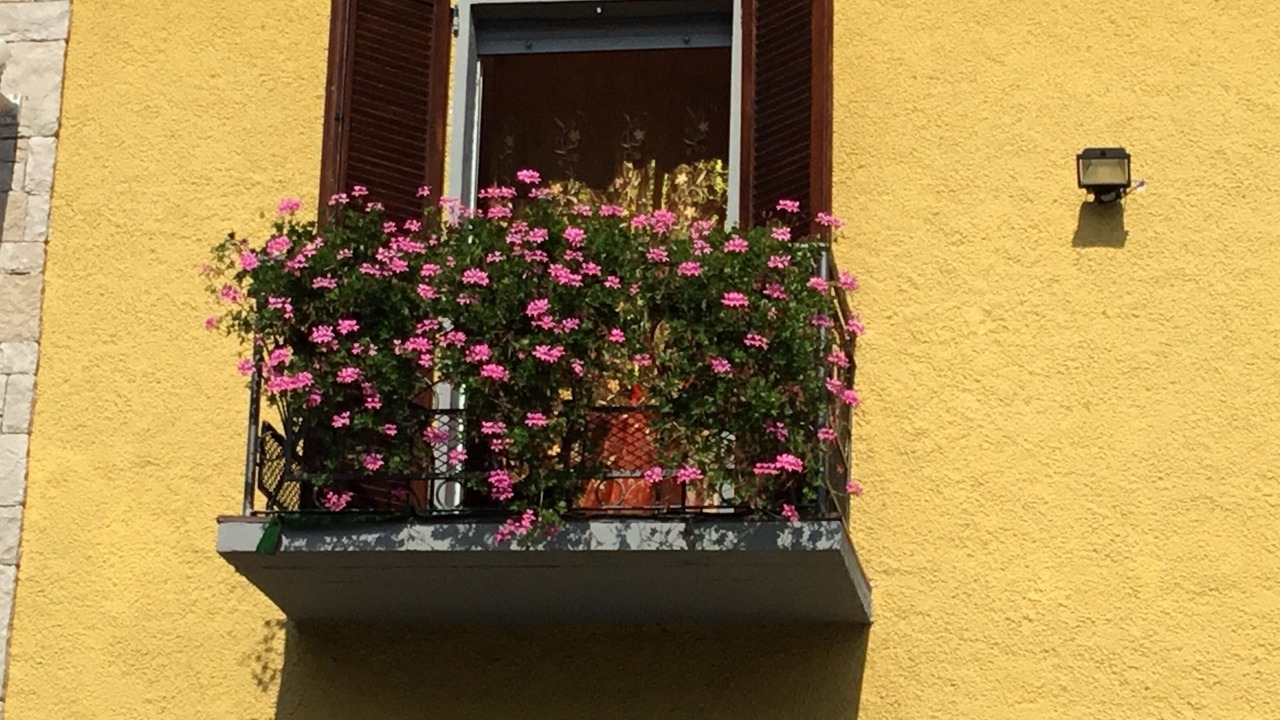Photo of Outdoor in Ranzanico