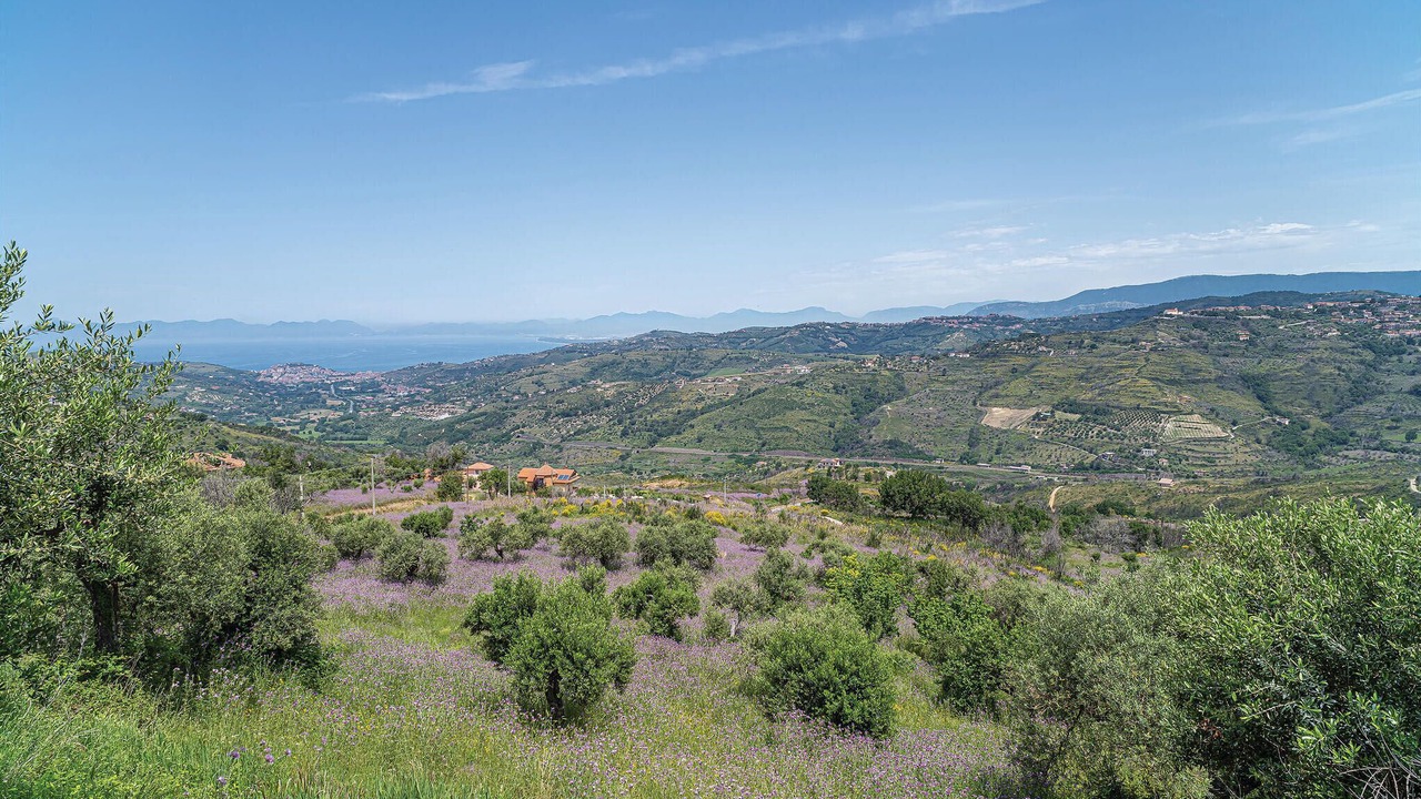 Photo of Bedroom in Laureana Cilento