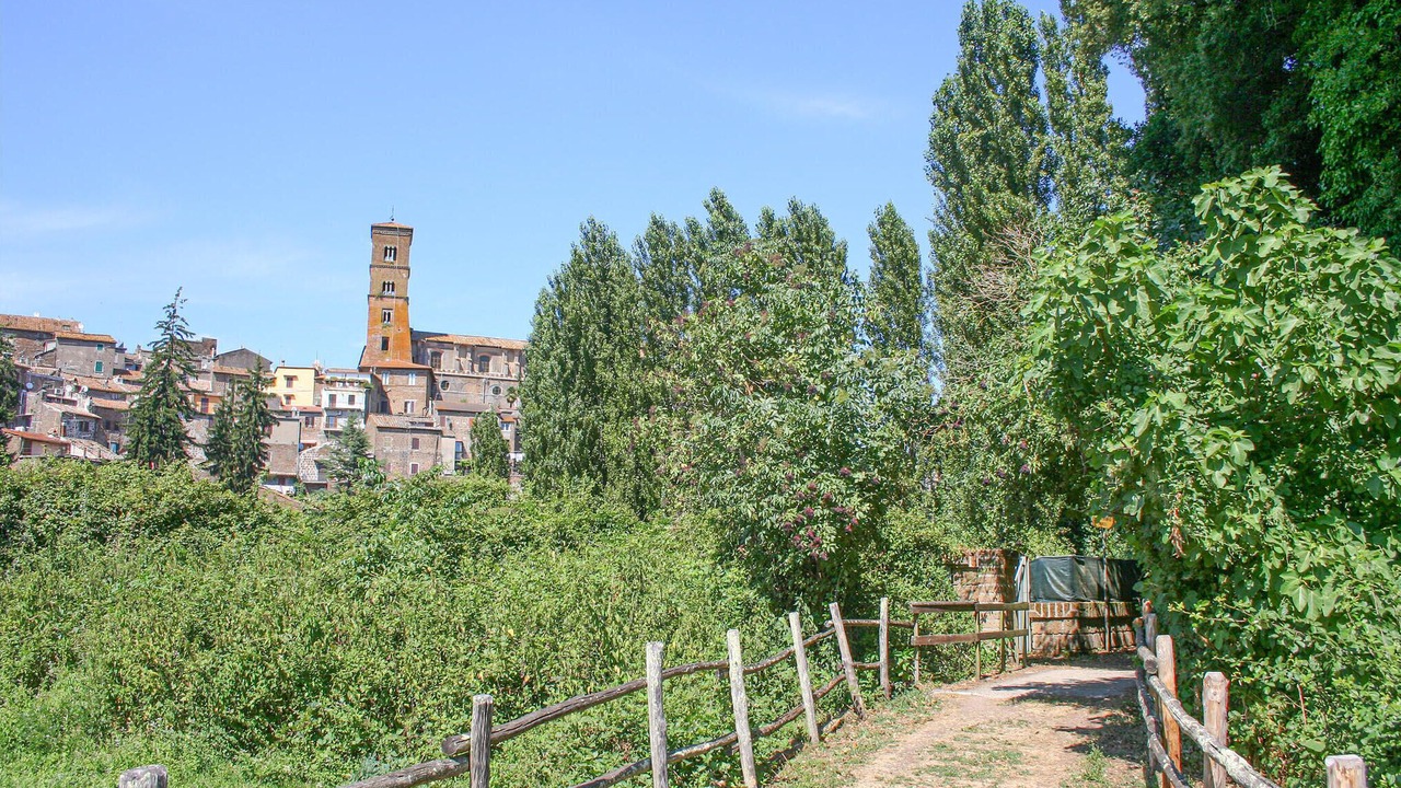 Photo of Others in Capranica