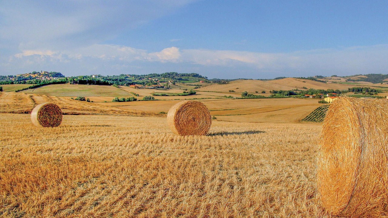 Photo of Others in Saturnana