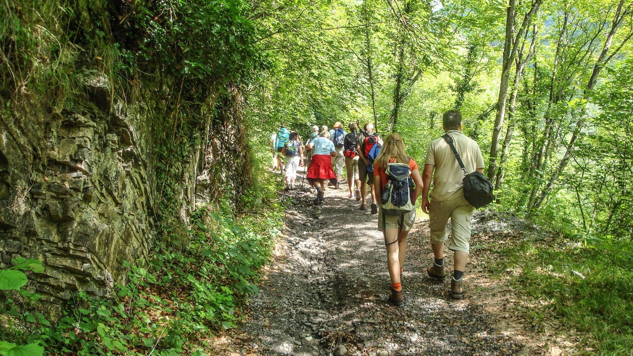 Photo of Others in Saturnana