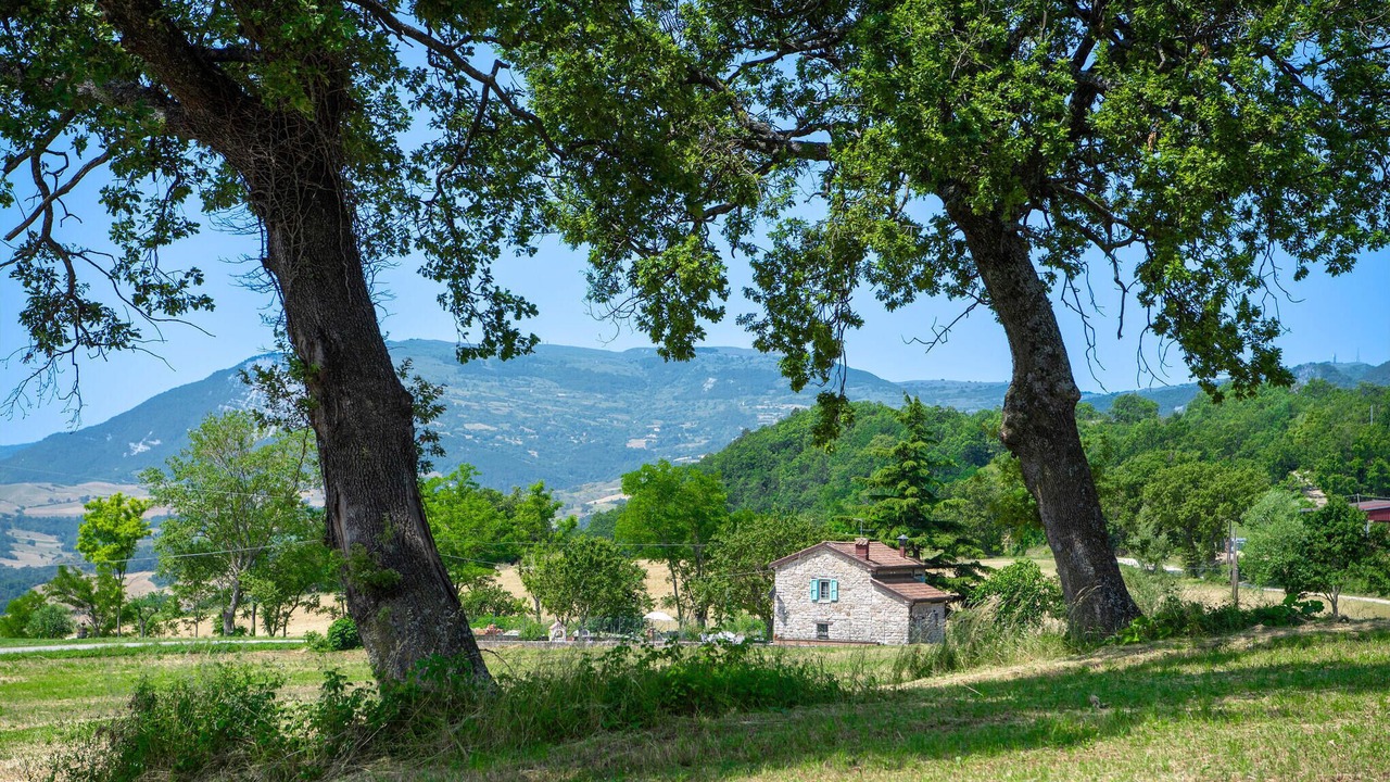 Photo of Others in Montegrimano