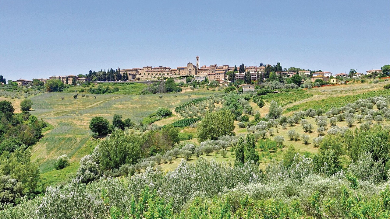 Photo of Others in Barberino Val d'Elsa