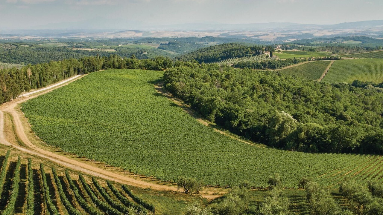 Photo of Others in Castellina in Chianti
