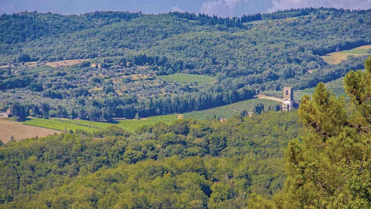 Photo of Others in Barberino Tavarnelle