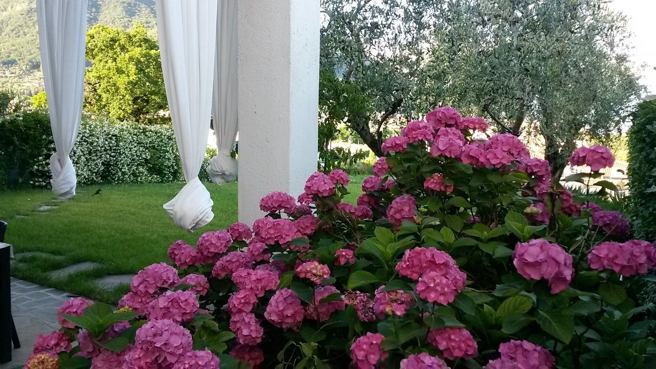 Photo of Outdoor in Salo