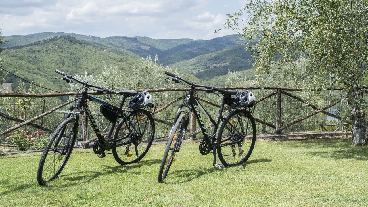 Photo of Outdoor in Monte Benichi