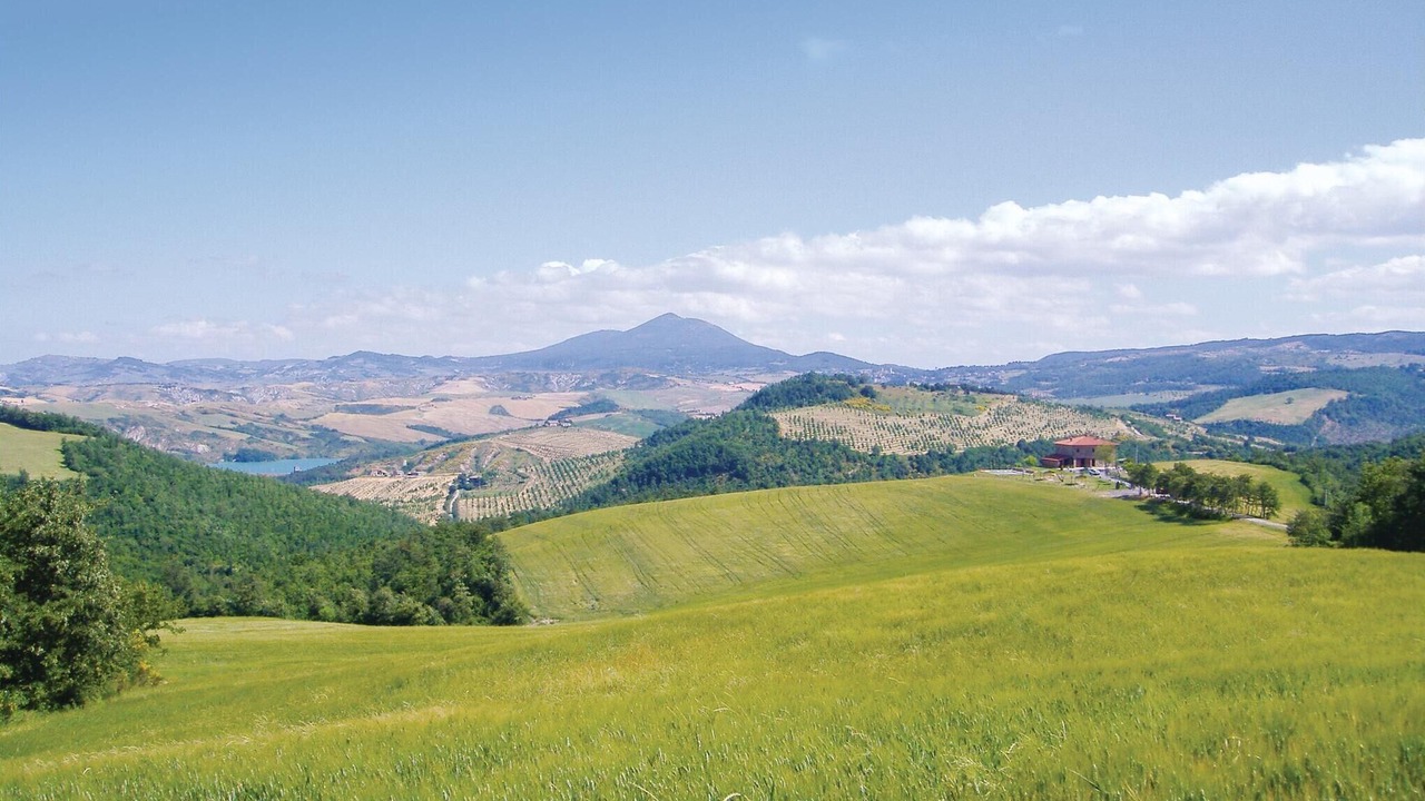 Photo of Others in Il Poggio
