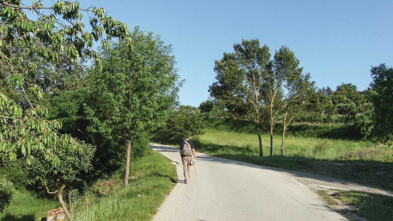 Photo of Others in Citerna