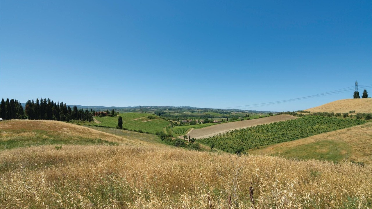 Photo of Others in Montespertoli