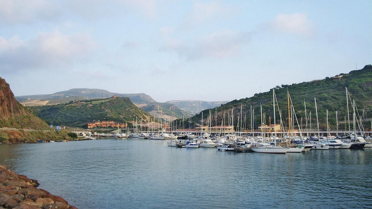 Photo of Others in Azzagulta