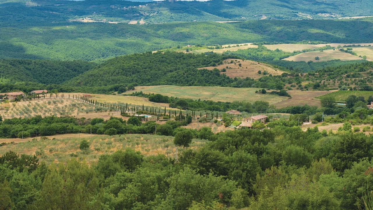 Photo of Others in Teverina di Cortona