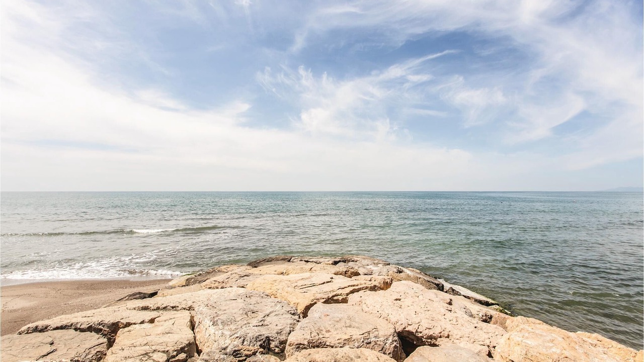 Photo of Others in Lido di Tarquinia