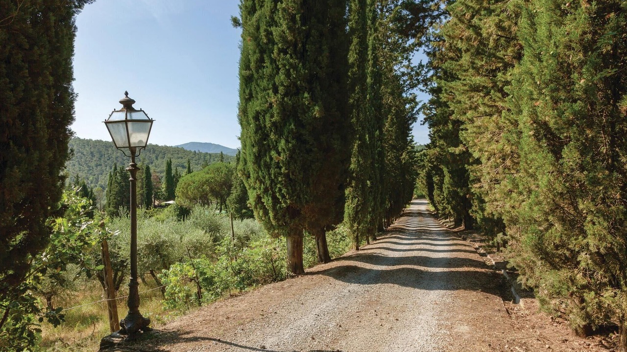 Photo of Others in Santa Reparata