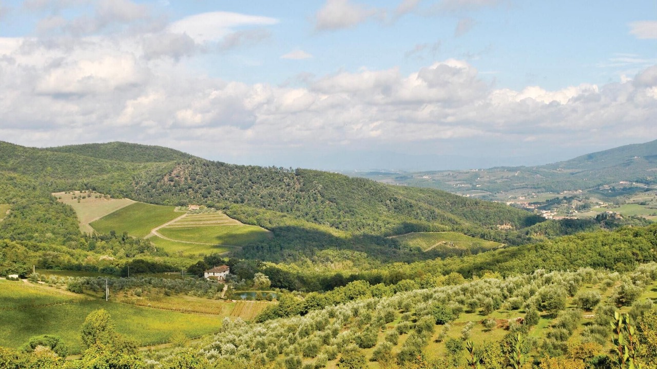 Photo of Others in Greve in Chianti