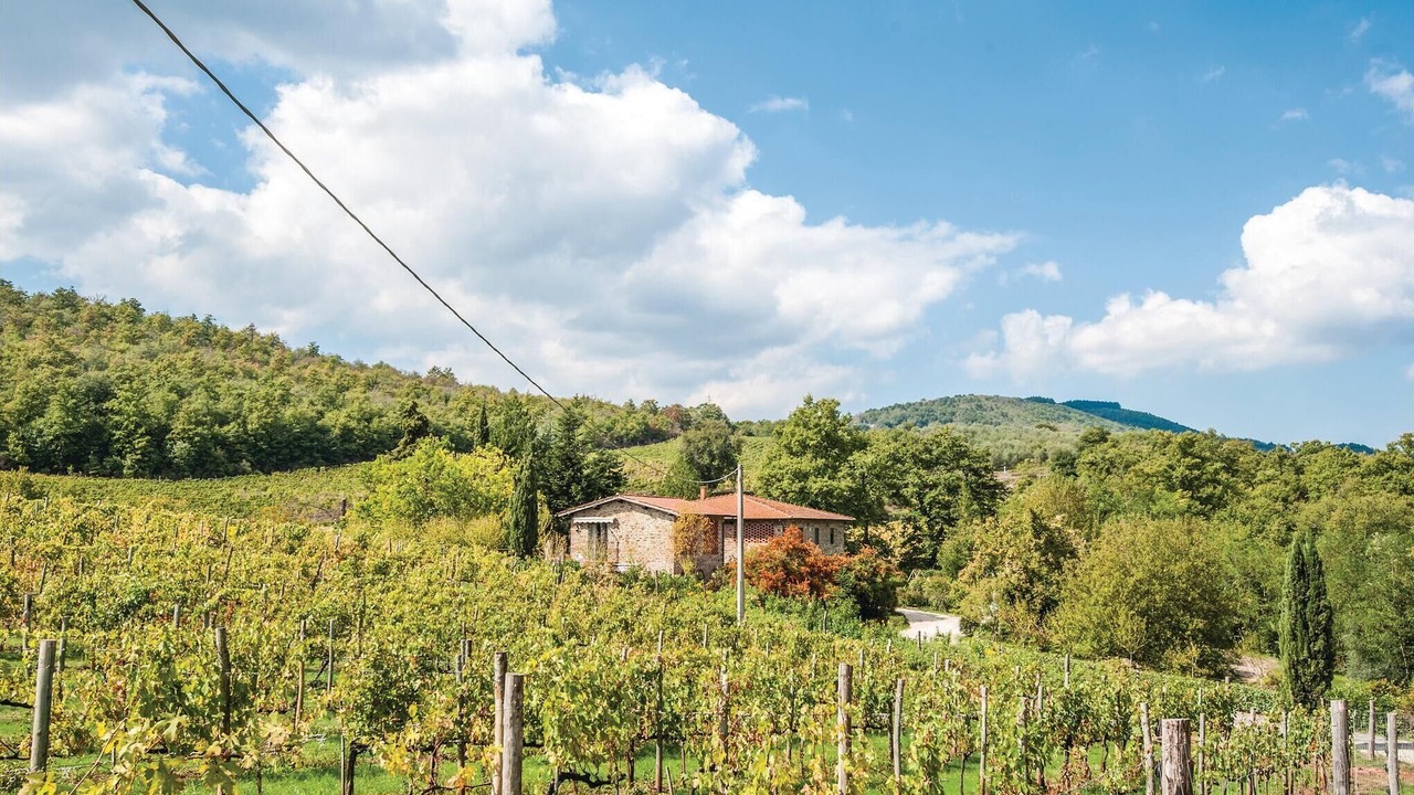 Photo of Others in Greve in Chianti