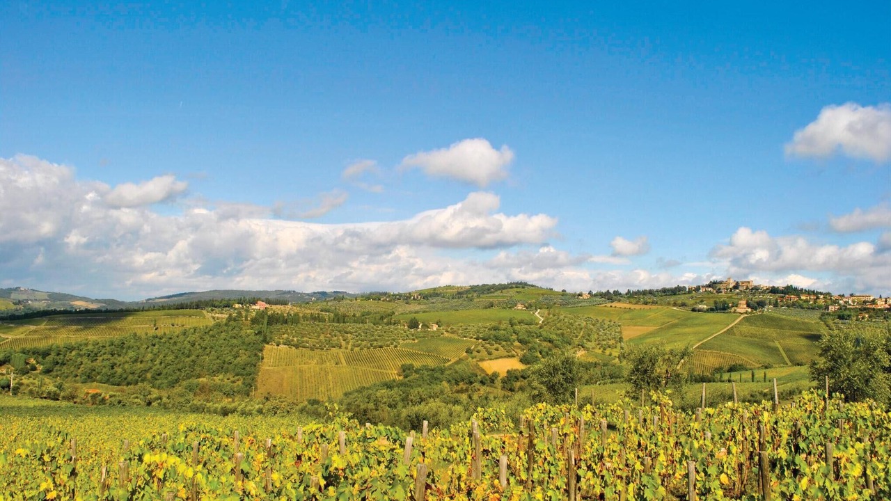 Photo of Others in Greve in Chianti