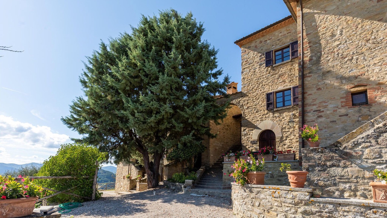 Photo of Others in Monte Santa Maria Tiberina