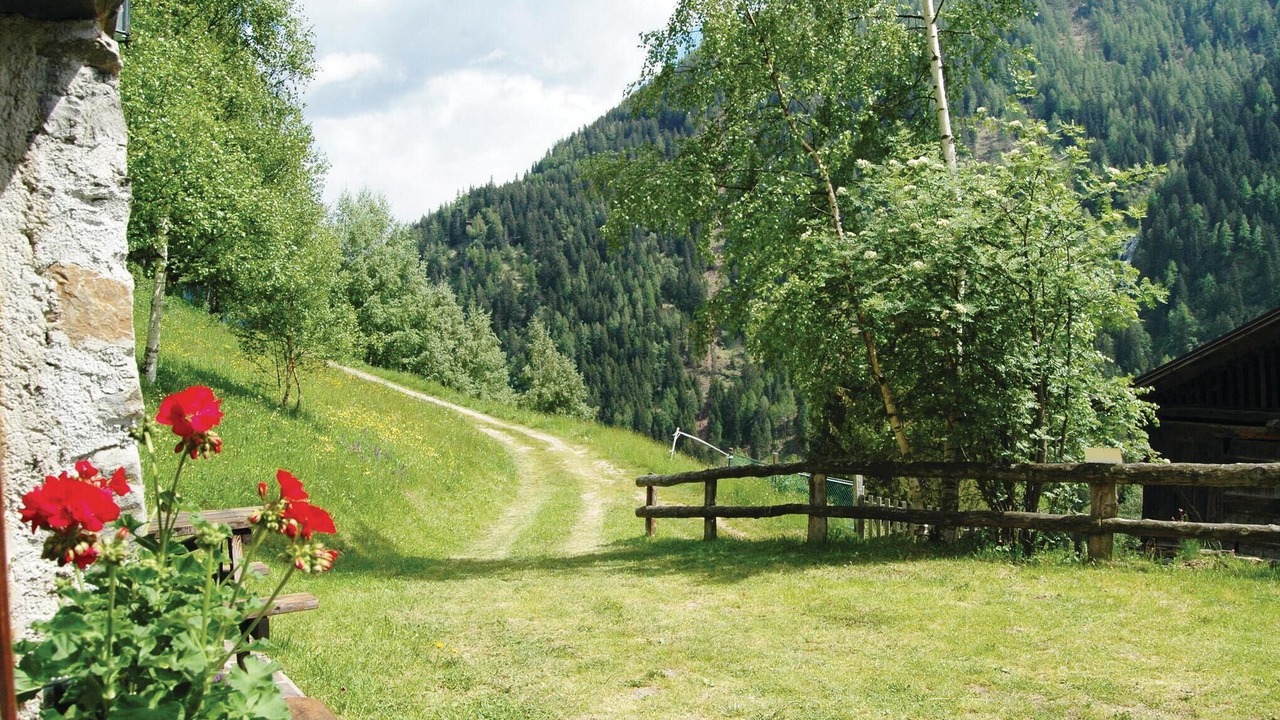 Photo of Others in Celledizzo