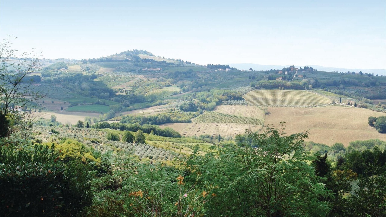 Photo of Others in Montespertoli