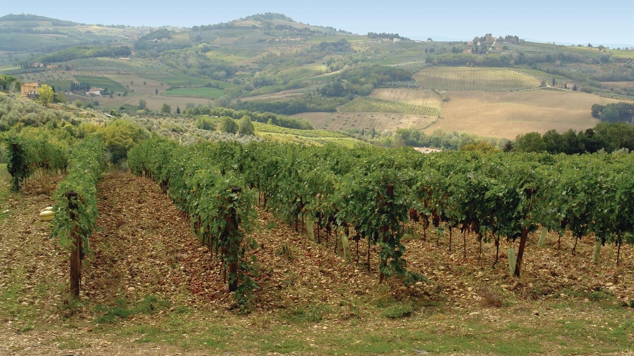 Photo of Others in Montespertoli