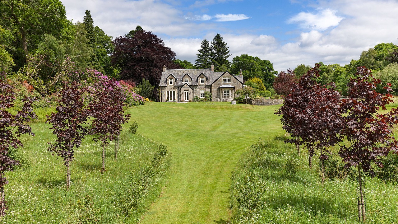 Photo of Outdoor in Saddell