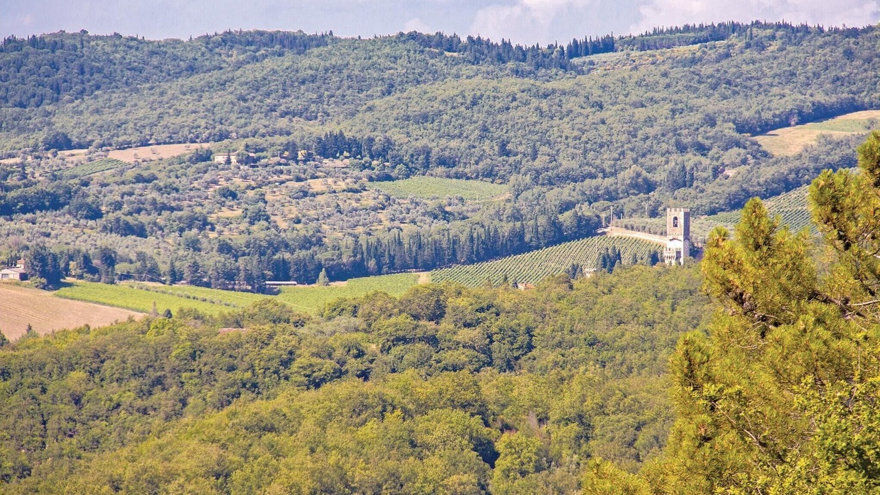 Photo of Others in Barberino Tavarnelle