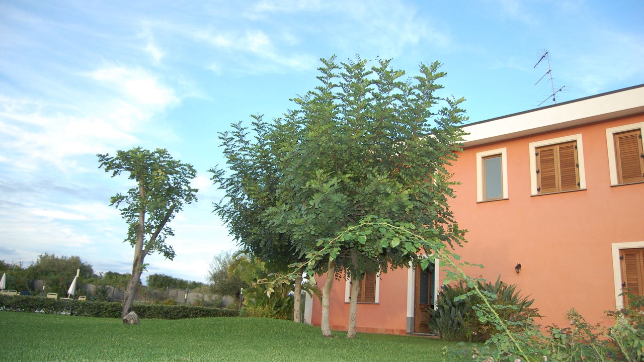 Photo of Outdoor in Santa Tecla