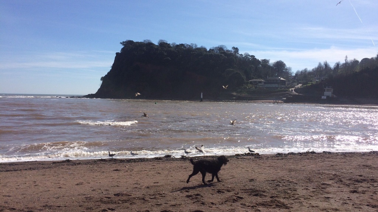 Photo of Others in Teignmouth