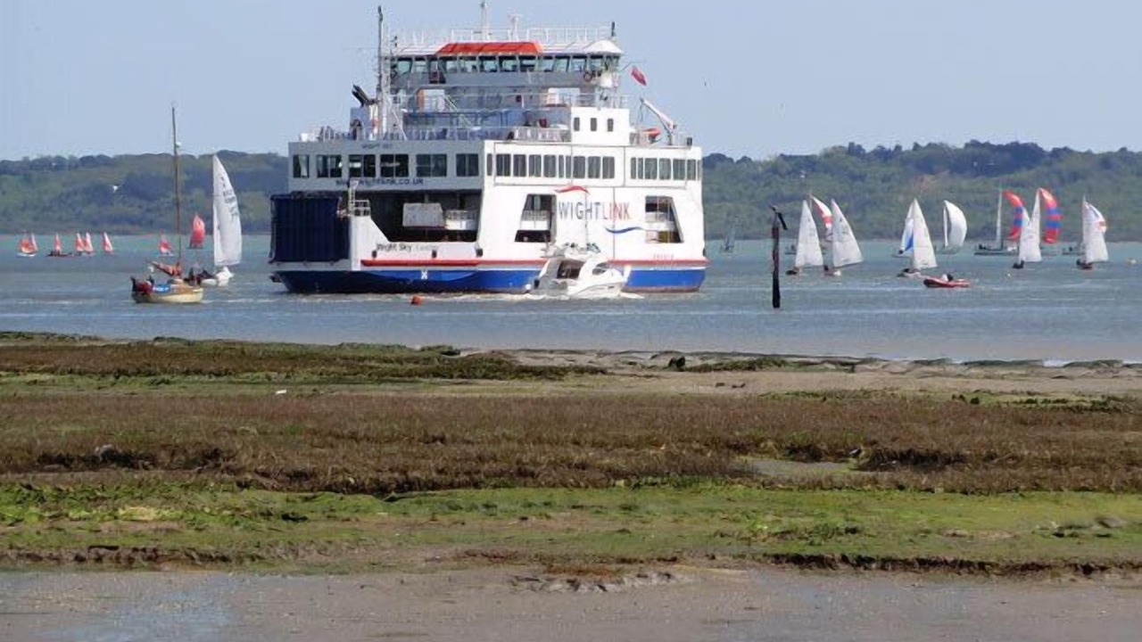 Photo of Others in New Forest District