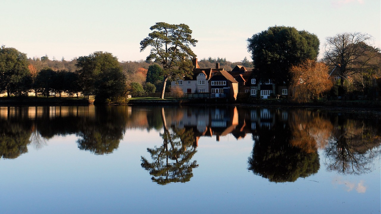 Photo of Others in New Forest District