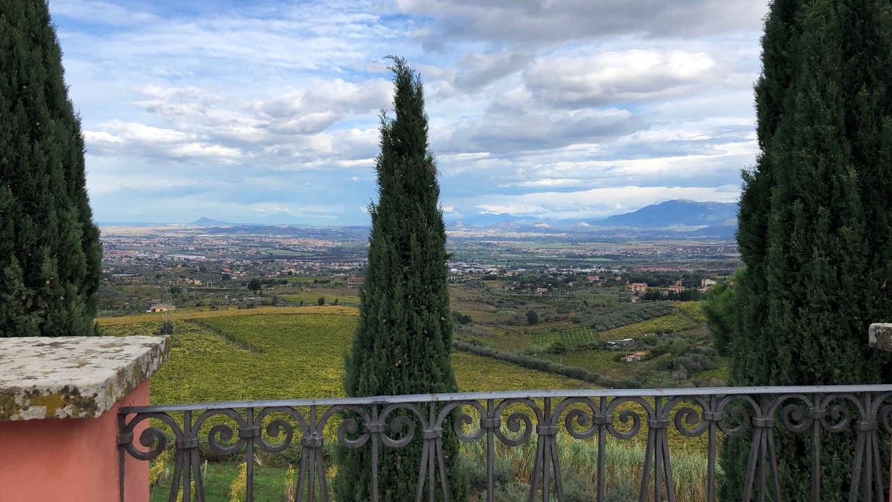 Photo of Others in Monte Porzio Catone