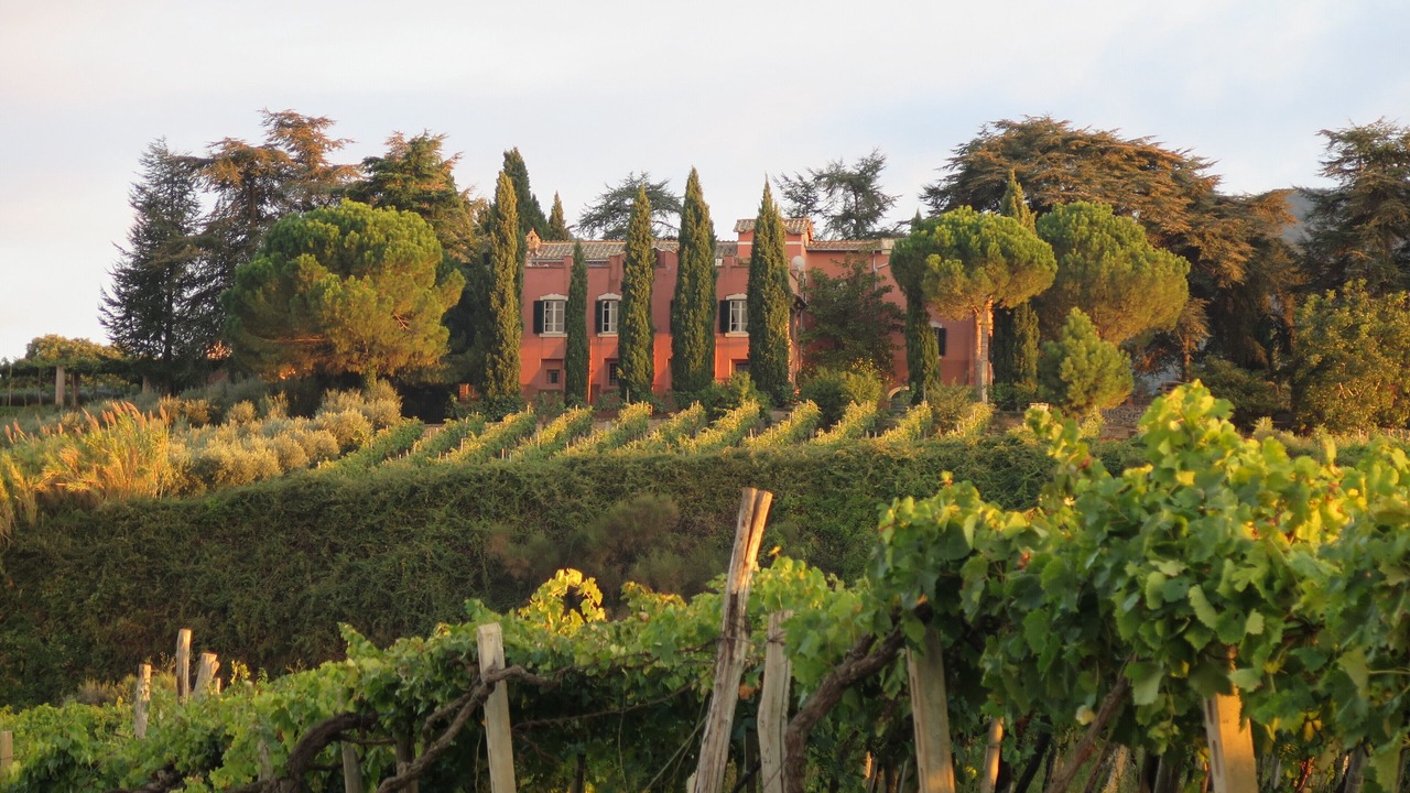 Photo of Outdoor in Monte Porzio Catone