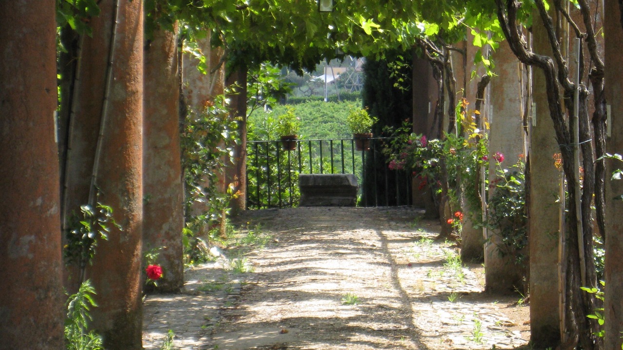 Photo of Outdoor in Monte Porzio Catone