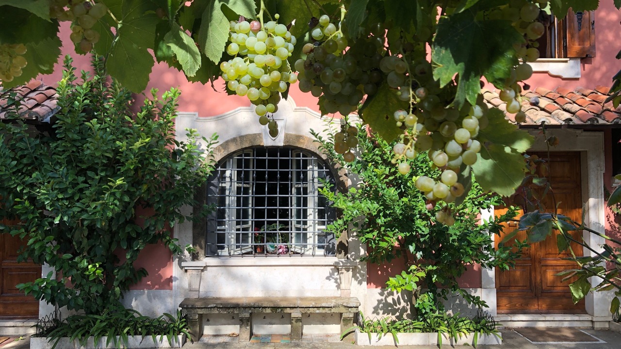 Photo of Outdoor in Monte Porzio Catone