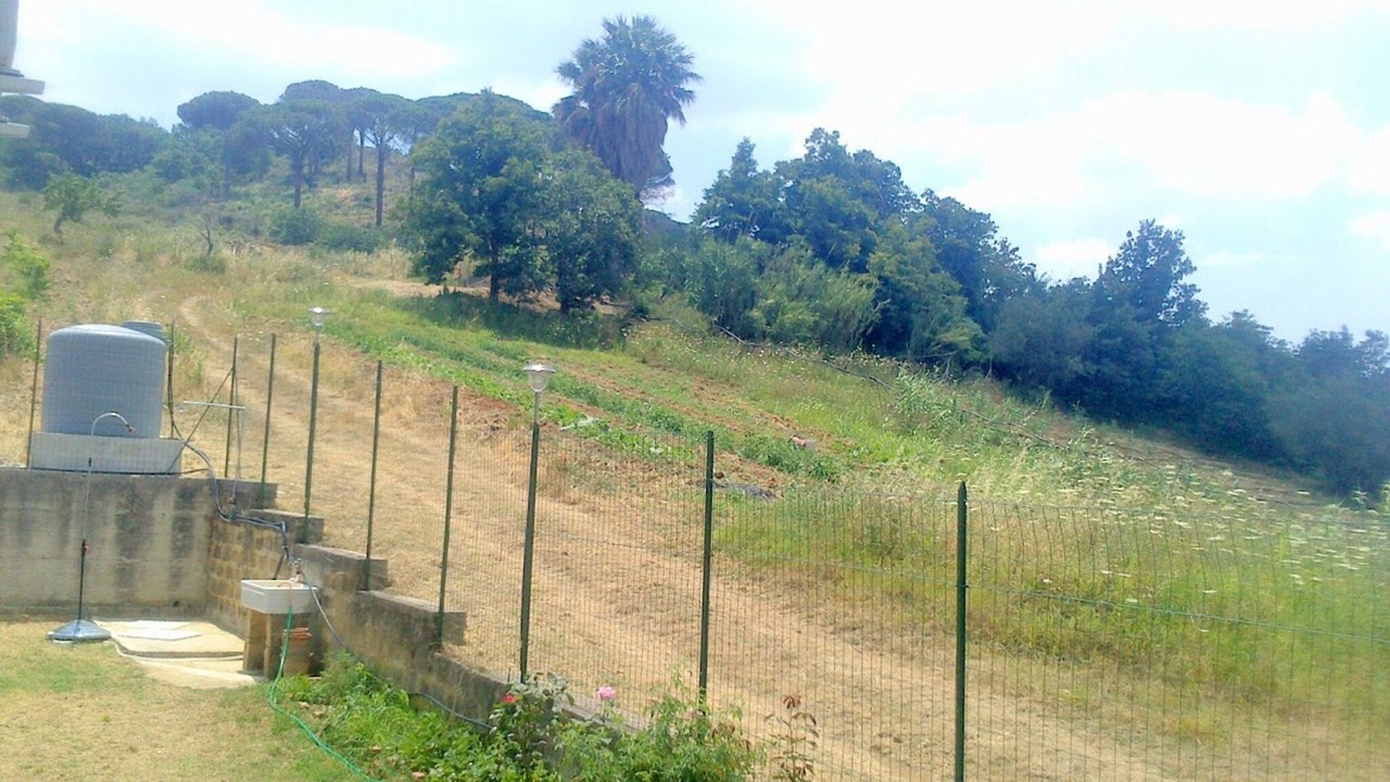 Photo of Others in Calatafimi