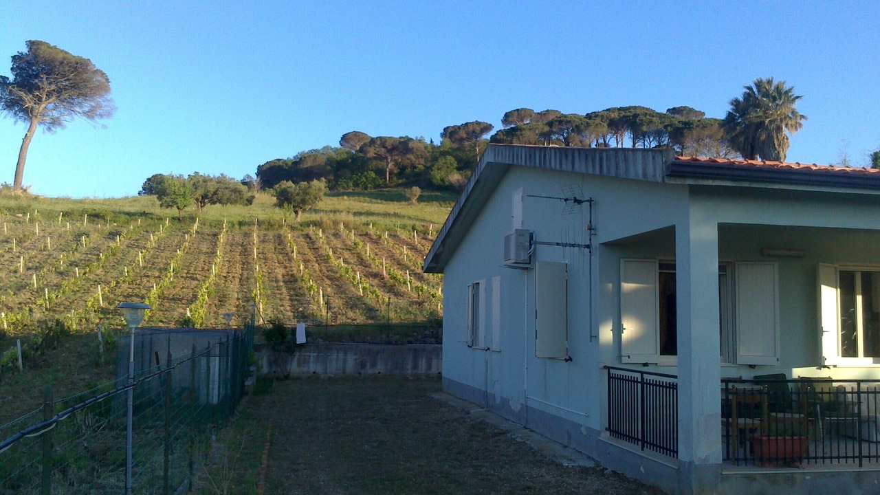 Photo of Others in Calatafimi
