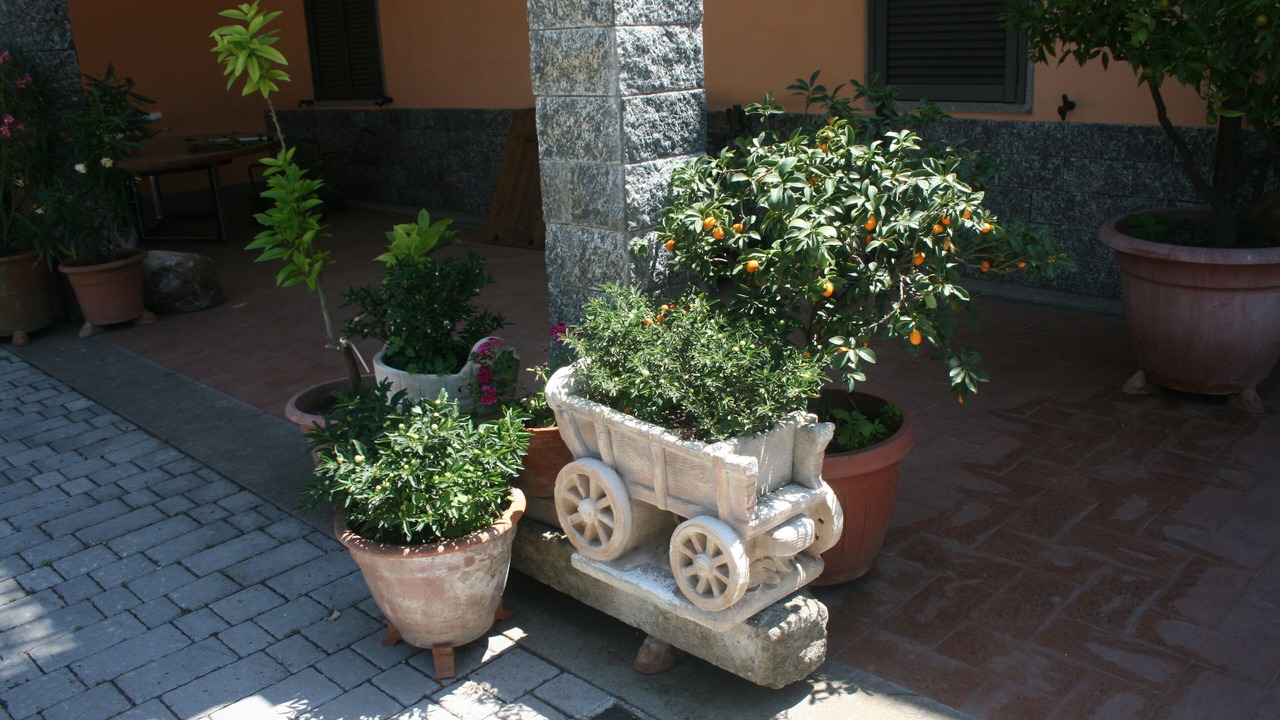 Photo of Outdoor in Bagnaia