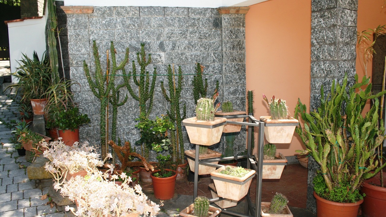 Photo of Outdoor in Bagnaia