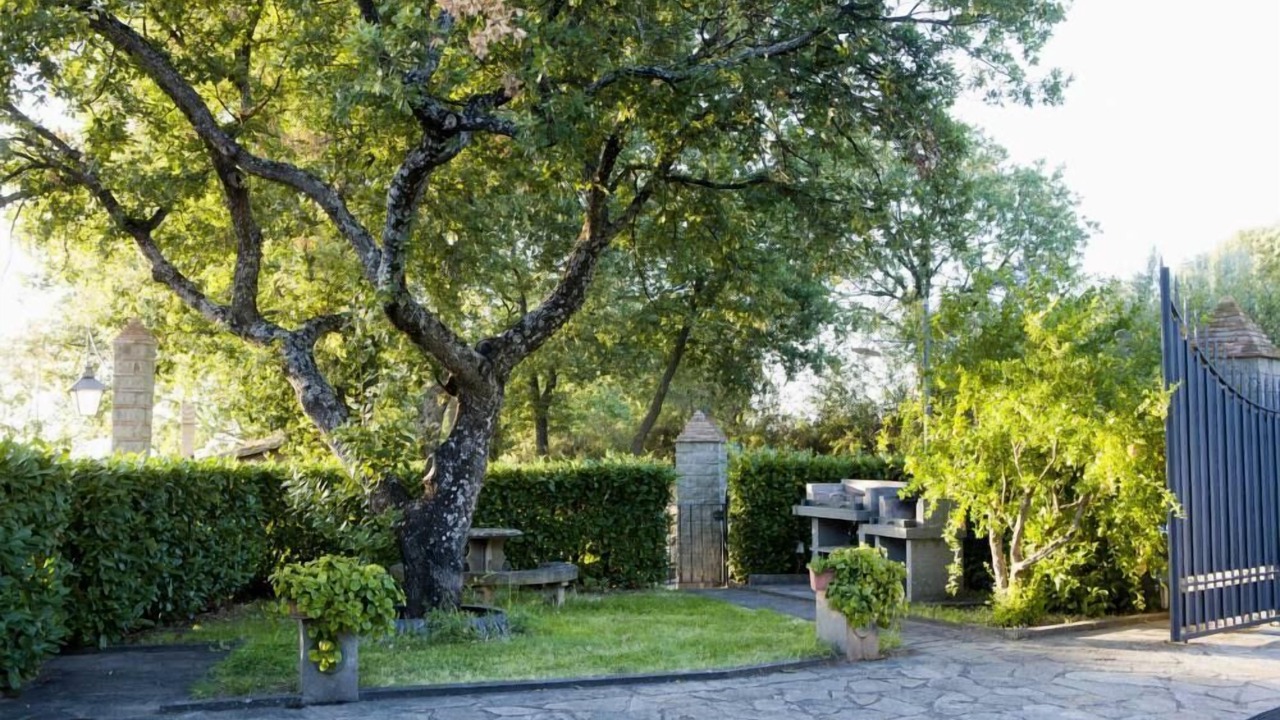 Photo of Outdoor in Bagnaia