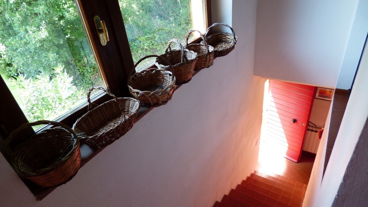 Photo of Others in Saturnana