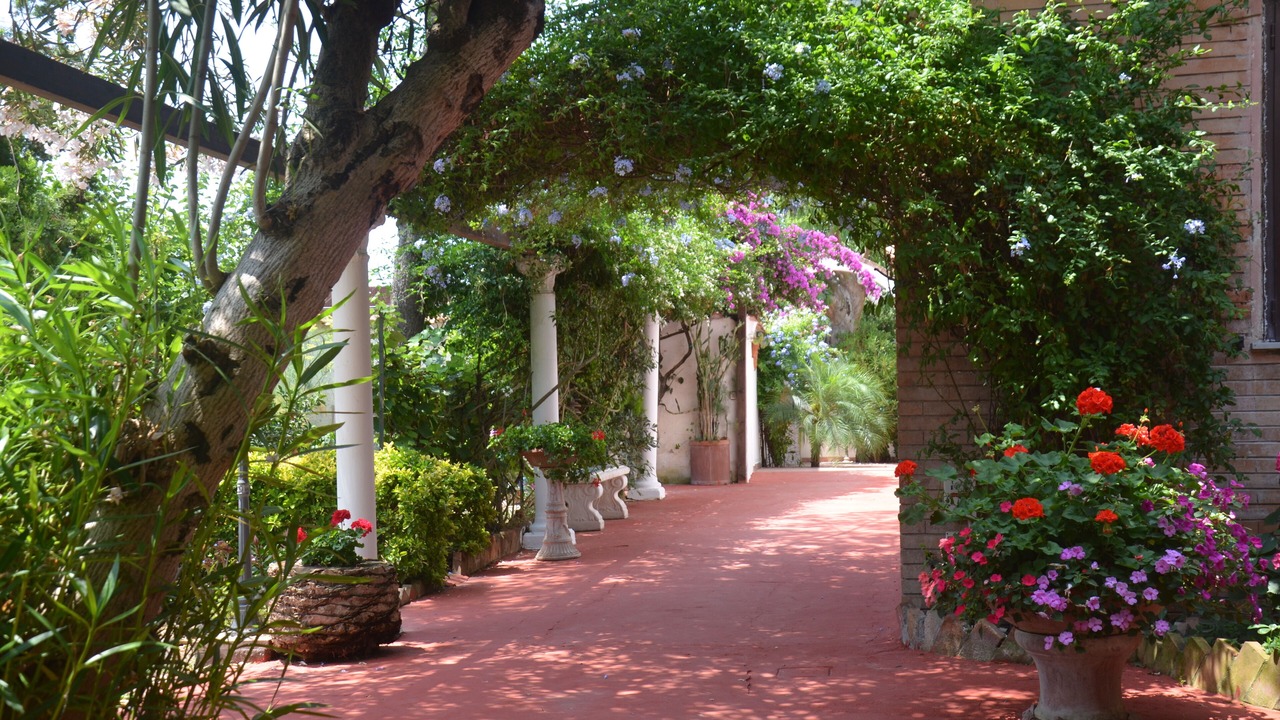 Photo of Outdoor in Mondragone