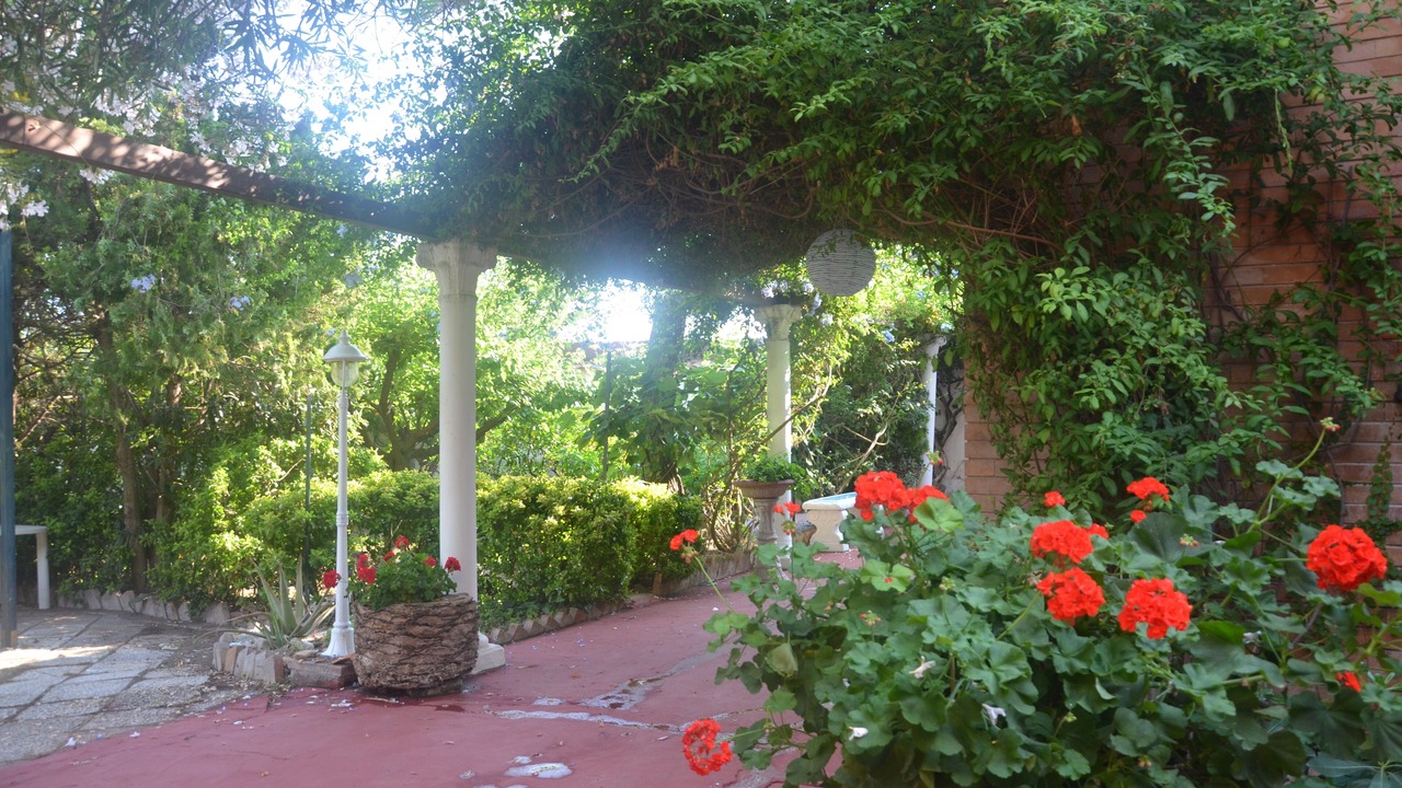 Photo of Outdoor in Mondragone
